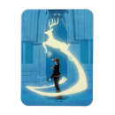 Search for harry potter magnets Magic