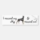 Search for doberman pinscher bumper stickers Dobie