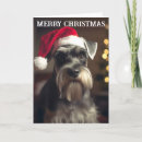 Search for miniature schnauzer christmas cards Schnauzers