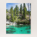 Search for lake tahoe souvenirs Forest
