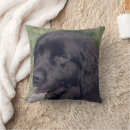 Search for dog face pillows Animal