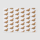 Search for lion tissue paper Decoupage