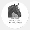 Search for black horse stickers Cowboy