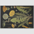 Search for botanical tissue paper Black