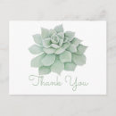 Search for succulent cards Party