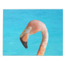 Search for flamingo notepads Colorful