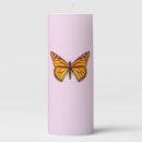 Search for butterfly candles Nature