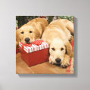 Search for golden retriever puppy art Looking at camera