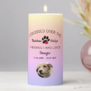 Search for crossing rainbow bridge Pet loss