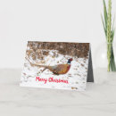 Search for wisconsin christmas cards Snow