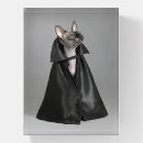 Search for cat paperweights Kitten