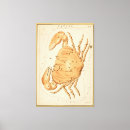 Search for cancer zodiac gifts Horoscope