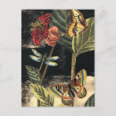 Search for nature postcards Animals