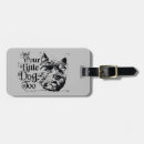 Search for accessories Wicked witch