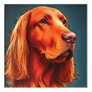 Search for pet portraits Cute