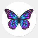 Search for butterfly drawing stickers Illustration