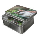 Search for maine coon cat puzzles Animal