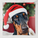 Search for funny trinket trays Humor