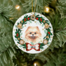 Search for pomeranian ornaments Breed