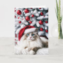Search for ragdoll cat christmas cards Kitty
