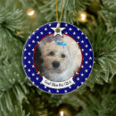 Search for american flag ornaments Red white and blue