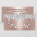 Search for eyelash extensions business gift certificates Makeup artist