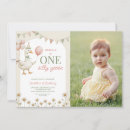 Search for goose birthday invitations One silly goose party