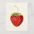 Search for fruit postcards Vintage