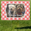 Search for pets welcome outdoor signs Cat