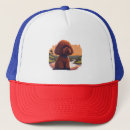 Search for poodle hats Wolf