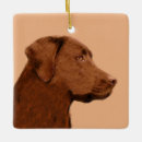 Search for labrador retriever ornaments Cute
