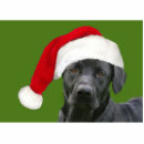 Search for dog photo statuettes Retriever