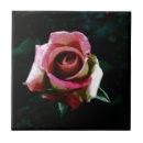 Search for rose pink color tiles Nature