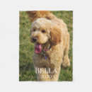 Search for dogs name blankets Pet