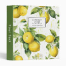 Search for lemon binders Botanical