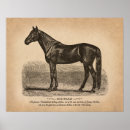 Search for vintage equestrian horse posters Riding