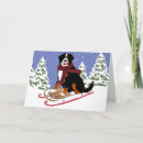 Search for bernese mountain dog christmas cards Berner