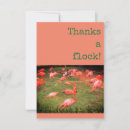 Search for flamingo thank you cards Green