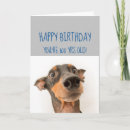 Search for funny 100th birthday cards Happy