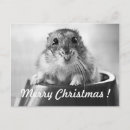 Search for hamster christmas cards Cute