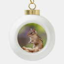 Search for chipmunk ornaments Rodent