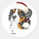 Search for bernese mountain dog stickers Bmd