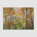 Search for autumn tissue paper Trees