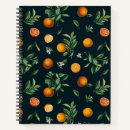 Search for pretty notebooks Pattern