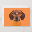 Search for eyeglasses cards Domestic animals