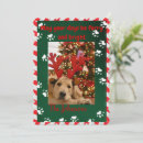 Search for dog photo christmas cards Furry and bright