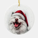Search for samoyed ornaments Cute