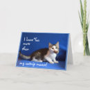 Search for funny cat mothers day cards Blue