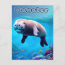 Search for florida postcards Colorful