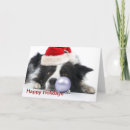 Search for border collie christmas cards Xmas